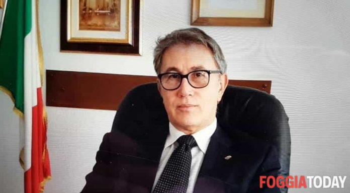 Intervista a Piernicola Silvis Piernicola Silvis