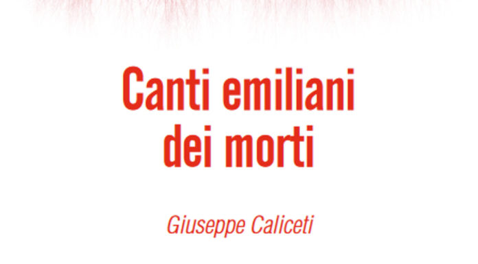 Buon compleanno, vibrisselibri! Canti2