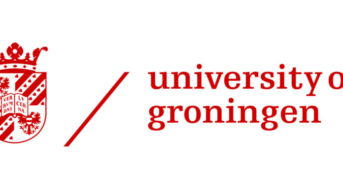 La mia tesi in linguistica ha bisogno di voi! Università di Groningen