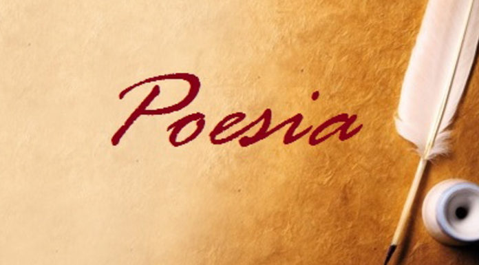 Rom: poesia e arte Poesia