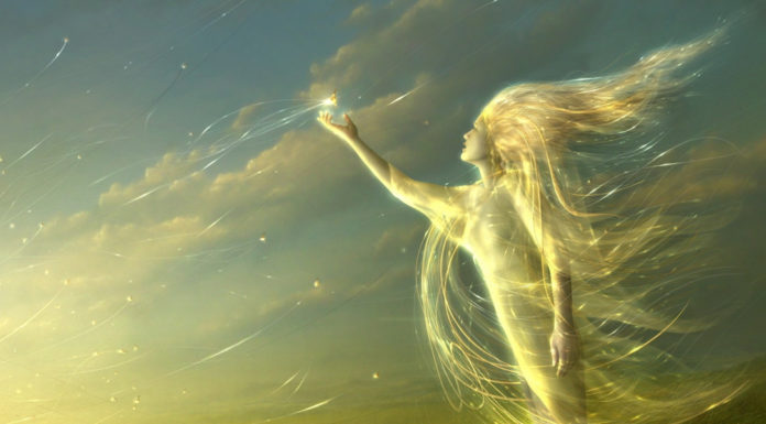 La discarica degli angeli Angelo2