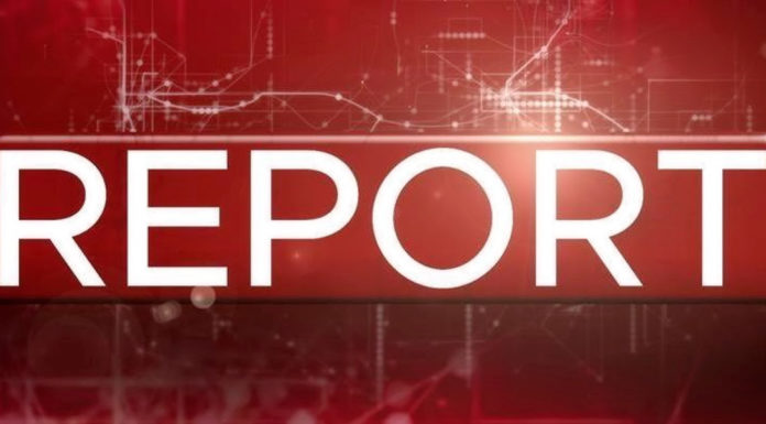 Liber Liber su RAI Report RAI Report
