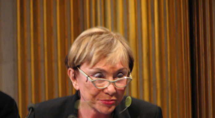 Stranieri a noi stessi. Un saggio Donzelli di Julia Kristeva Julia Kristeva