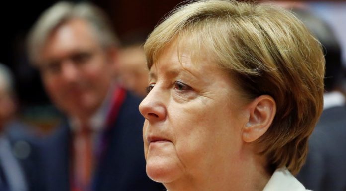 Danke Frau Merkel. Un libro Meligrana di Diego Balducci Angela Merkel