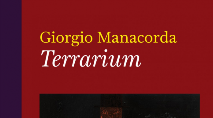 Terrarium. Un grande romanzo visionario Voland di Giorgio Manacorda