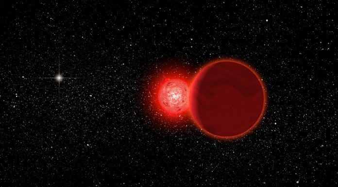La stellina che fece la barba al sistema solare Rappresentazione artistica della stella di Scholz