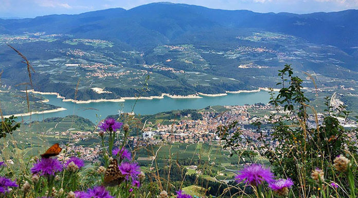 “La frutticoltura nell’economia agricola della Val di Non”, di Renata Comai Val di Non