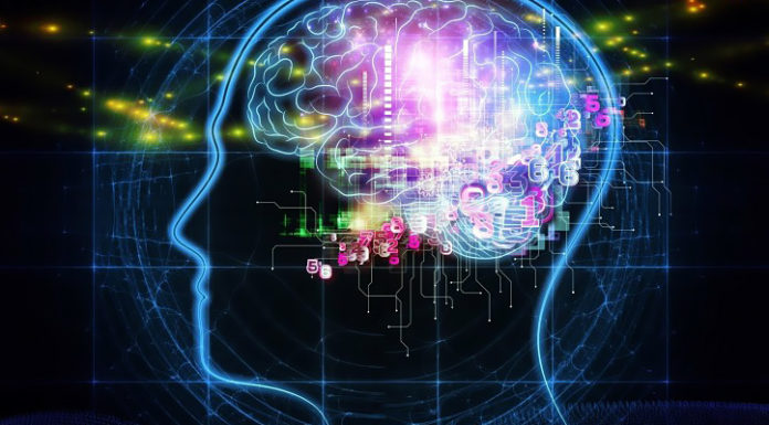 “Reti neurali: modelli e aspetti applicativi”, di Letterio Iachetta Reti neurali: modelli e aspetti applicativi