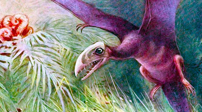 Nuovo ePub. «L’allevatore di dinosauri» di Yambo Nuovo ePub. «L'allevatore di dinosauri» di Yambo