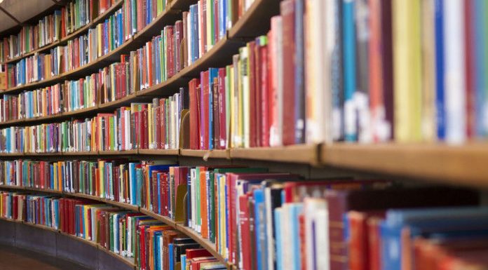 Ibs, ecco il piano della maturità ibs