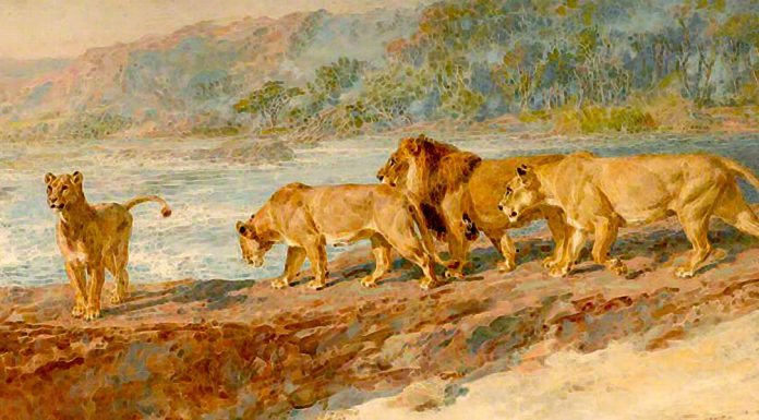 «Tartarino di Tarascona» di Alphonse Daudet On The Bank Of An African River. Briton Riviere