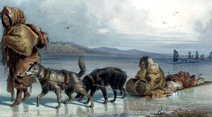 “La moglie Siwash” di Jack London Dog Sledges Of The Mandan Indians. Karl Bodmer