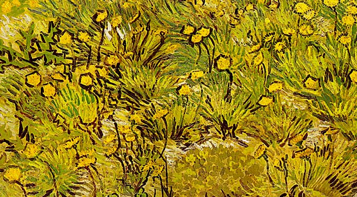 «Specie e varietà e loro origine per mutazione» di Hugo De Vries A Field of Yellow Flowers. Vincent van Gogh