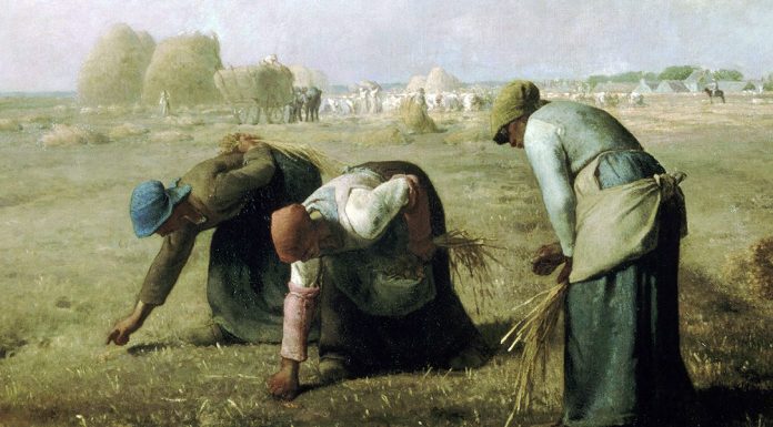 «Memoria sulle condizioni dell’agricoltura e delle classi agricole nel mandamento di Cortale» di Antonio Cefalì The Gleaners. Jean-Francois Millet