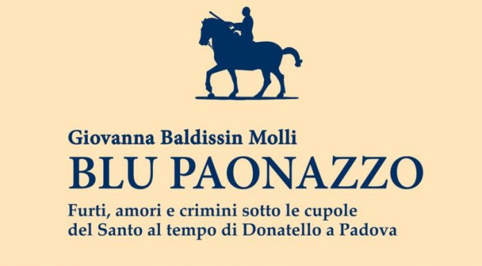 Blu paonazzo. Un libro Il Prato di Giovanna Baldissin Molli Copertina libro