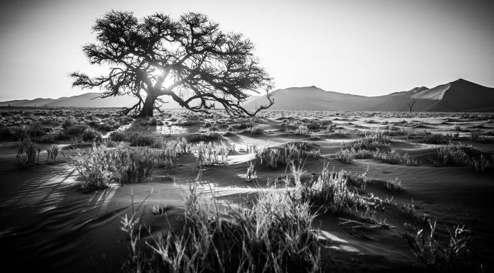 Namibia: l’anticamera dell’olocausto Namibia