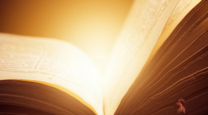 Un anno di pizza al taglio