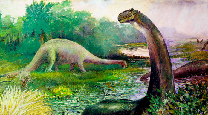 Nuovo ePub. “Viaggi e avventure attraverso il Tempo e lo Spazio” di Yambo Illustration of Brontosaurus in the water, and Diplodocus on land (1897). Charles R. Knight