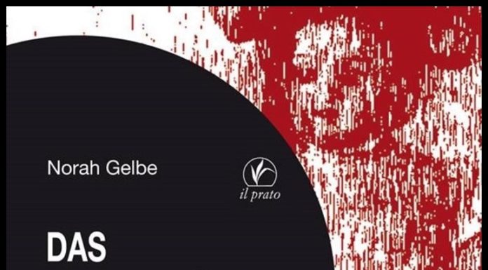 Norah Gelbe, La ragazza bambola… in tedesco! Copertina libro