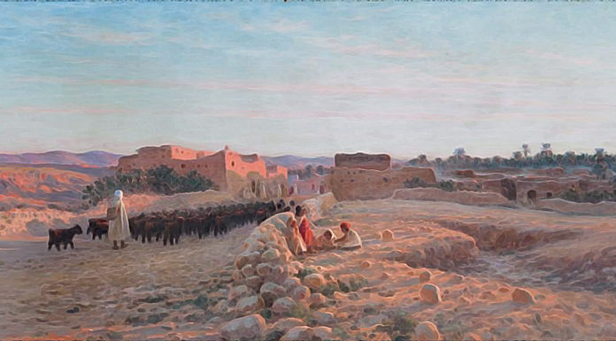 “Veglie beduine” di Francesco Cucca Antoine Gadan. Le retour du troupeau au village