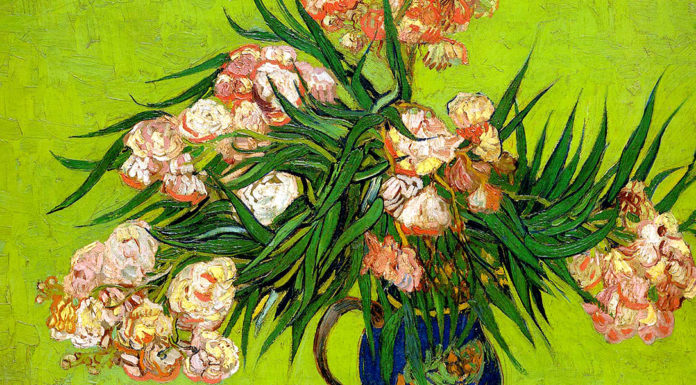 “Note bibliografiche allioniane” di Oreste Mattirolo Oleanders and Books. Vincent van Gogh
