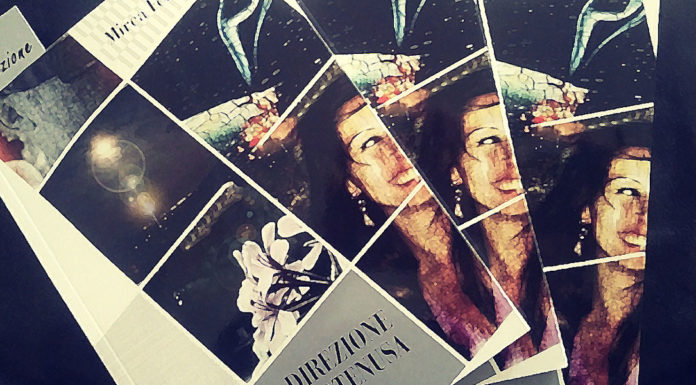 Direzione Ipotenusa, Volume II Direzione Ipotenusa : volume 2