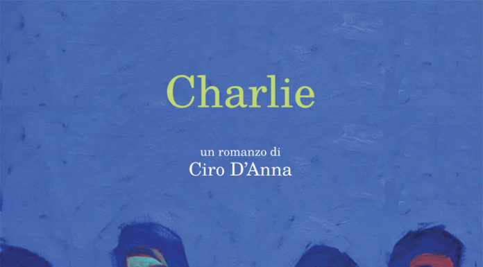 L’arte della rinuncia. Intervista a Ciro D’Anna copertina