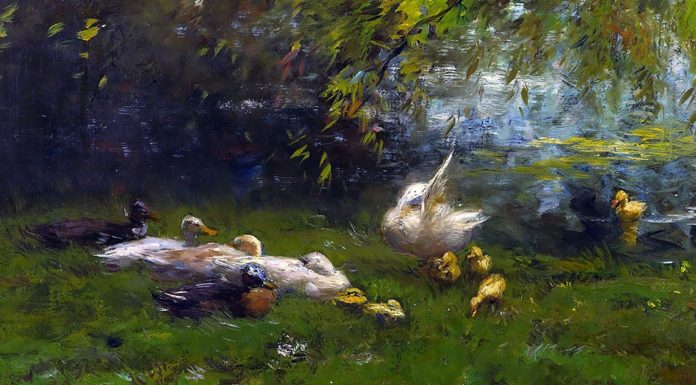 “L’anatra, allevamento per la produzione della carne” di Carlo Alberto Gonin Duck heaven. Willem Maris
