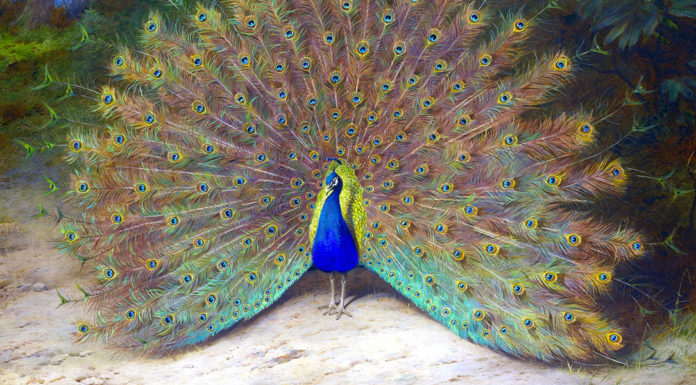 Ravel. “Histoires naturelles” Ravel. “Histoires naturelles”