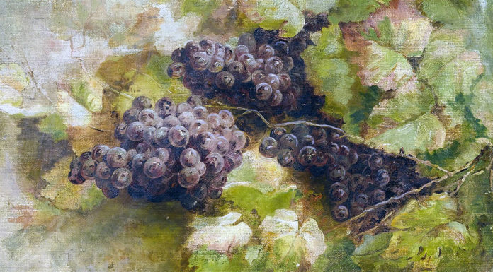 “I filtrati dolci” di Giuseppe De Astis Still Life with Grapes. Giovanni Segantini