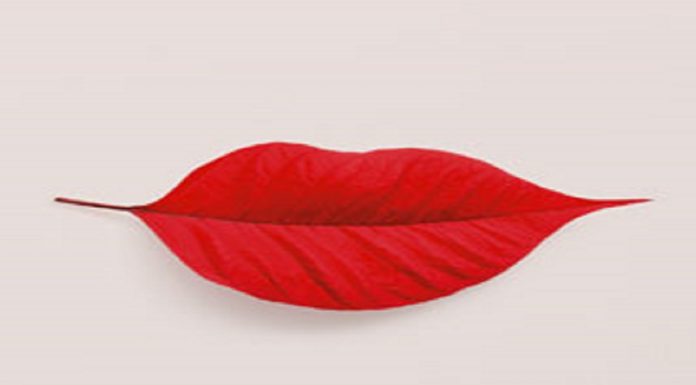 Comunicare ad arte – per costruire contenuti e promuovere eventi a cura di Benedetta Baldi