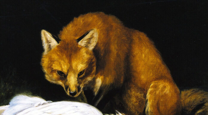 “La volpe” di David Herbert Lawrence The Fox – Fair Game. Alexander Pope