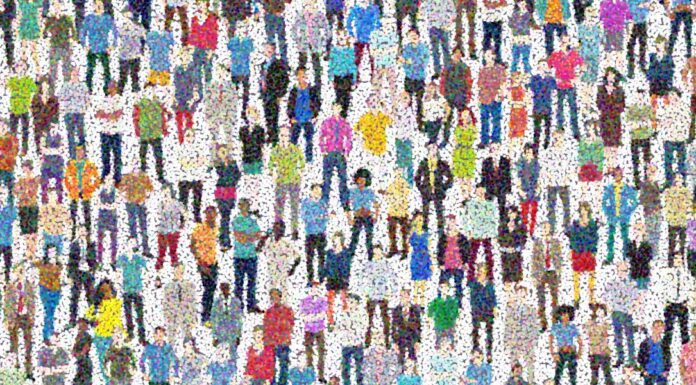 Competenze digitali, c’è la strategia dell’Italia: perché è passo importante Competenze digitali, c’è la strategia dell’Italia: perché è passo importante