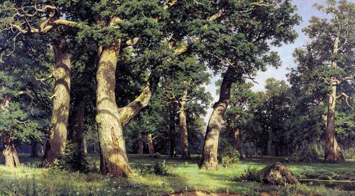 Carl Nielsen, Op. 14