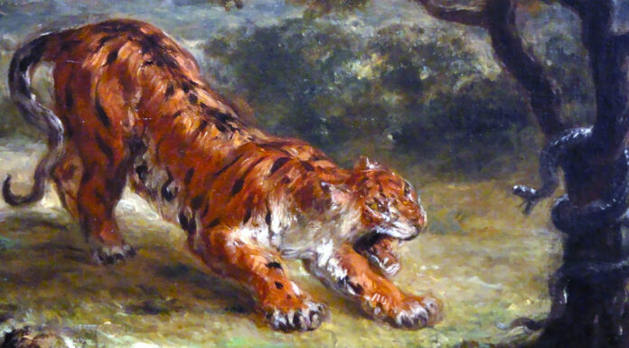 “Le macchie del Leopardo” di Rudyard Kipling Tiger and Snake by Eugene Delacroix, 1862