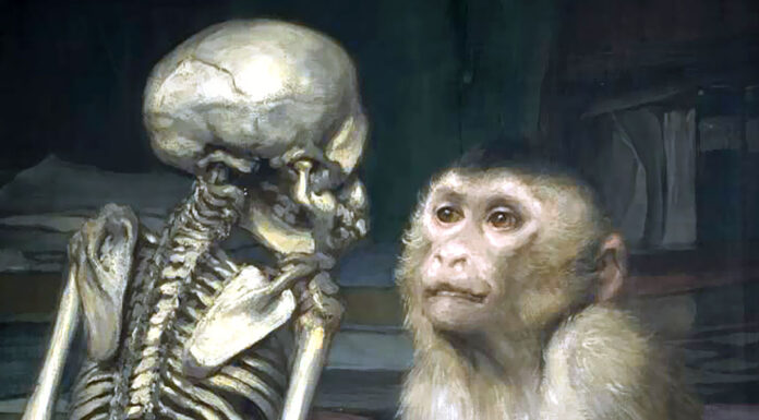 “Prove di fatto intorno al posto che tiene l’uomo nella natura” di Thomas Henry Huxley Monkey before skeleton. Gabriel von Max