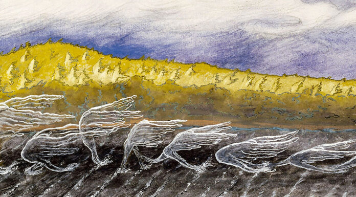 “Controcanto” di Sergio Ortolani The Wind Blows. Hugo Simberg