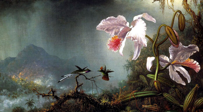 “Novelle straordinarie” di Herbert George Wells Two Fighting Hummingbirds with Two Orchids. Martin Johnson Heade
