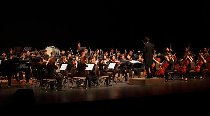 Reger. Mozart Variationen, Op. 132 Orchestra