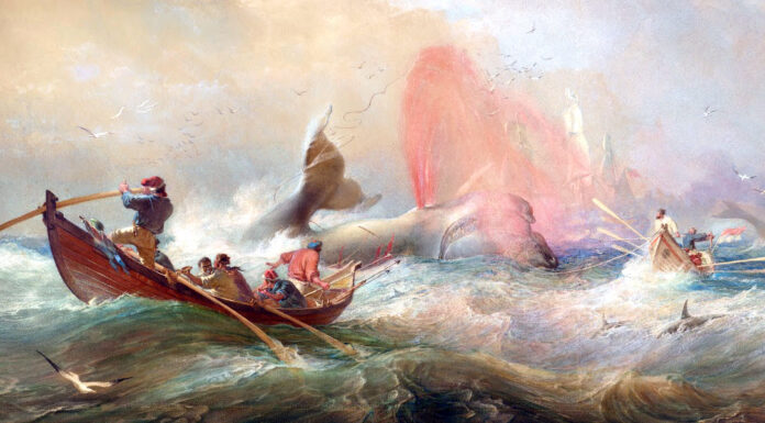 “Moby Dick” di Herman Melville Whalers off Twofold Bay, New South Wales, Oswald Brierly