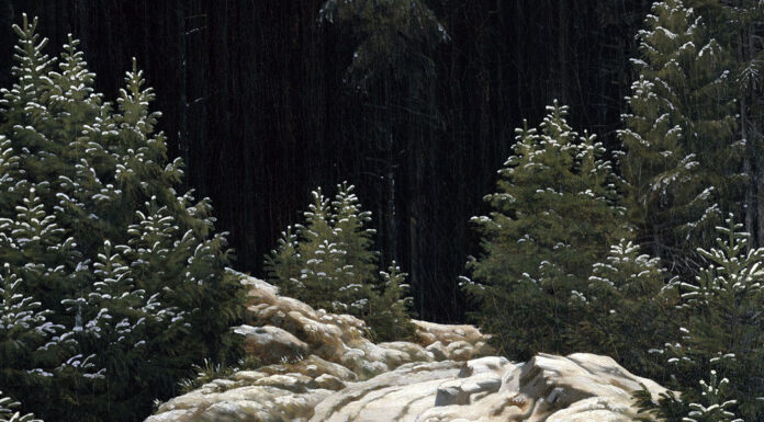 “L’orcio d’oro” di James Stephens Frühschnee. Caspar David Friedrich