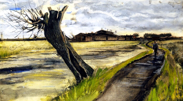 “Il compagno” di Cesare Pavese Pollard Willow, Vincent van Gogh (1882)
