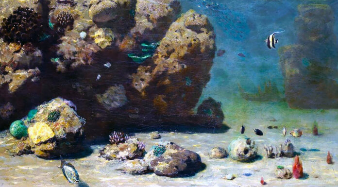 Nuovo ePub. “Ventimila leghe sotto ai mari” di Jules Verne Underwater. Eugen von Ransonnet-Villez