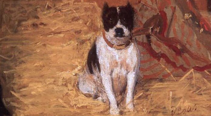 “Cinci” di Luigi Pirandello At the Stables, Horse and Dog, di Edgar Degas