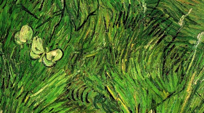 “La farfalla” di Wells, Herbert George Due farfalle bianche Vincent van Gogh-1889.jpg