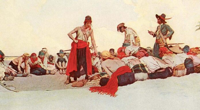 Nuovo ePub. “L’isola del tesoro” di Robert Louis Stevenson “Who Shall be Captain (1911)” di Howard Pyle