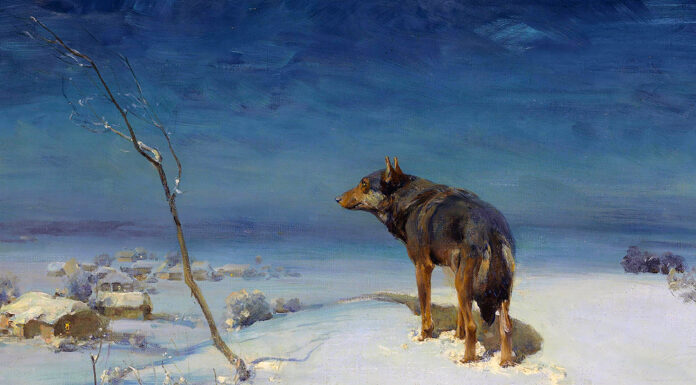 “Culto segreto” di Algernon Blackwood “The lone Wolf” di Alfred Wierusz-Kowalski