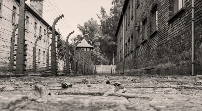 Storia di una resistenza, di Marcello De Caro Storia di una resistenza, di Marcello De Caro