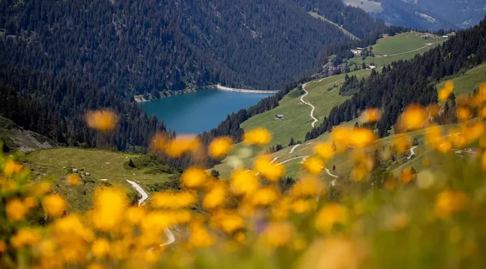 Bona communia. Condivisione della terra e della conoscenza Bona communia. Condivisione della terra e della conoscenza. Usi civici e proprietà collettiva, esempio di civiltà nel meridione italiano di Francesco Tupone