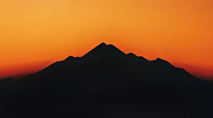 Raimon Panikkar e i Modi del Pathos, di Maria Roberta Cappellini Raimon Panikkar e i Modi del Pathos. Dialoghi contemporanei. Intervista a Maria Roberta Cappellini